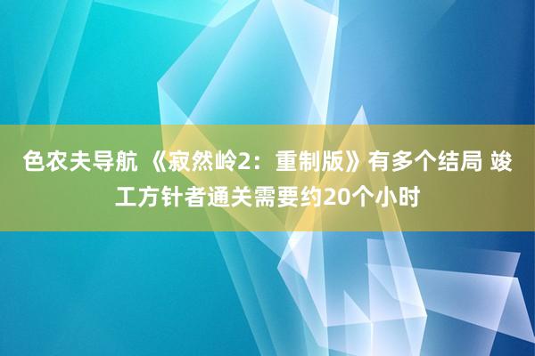 色农夫导航 《寂然岭2：重制版》有多个结局 竣工方针者通关需要约20个小时