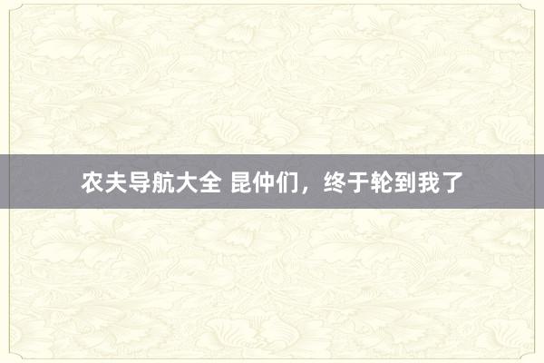 农夫导航大全 昆仲们，终于轮到我了