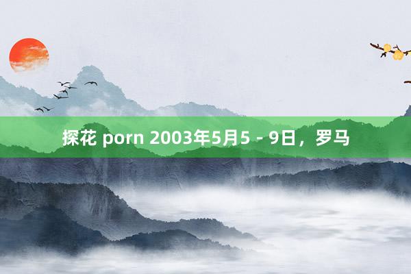 探花 porn 2003年5月5－9日，罗马