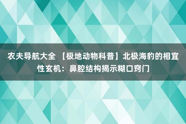 农夫导航大全 【极地动物科普】北极海豹的相宜性玄机：鼻腔结构揭示糊口窍门